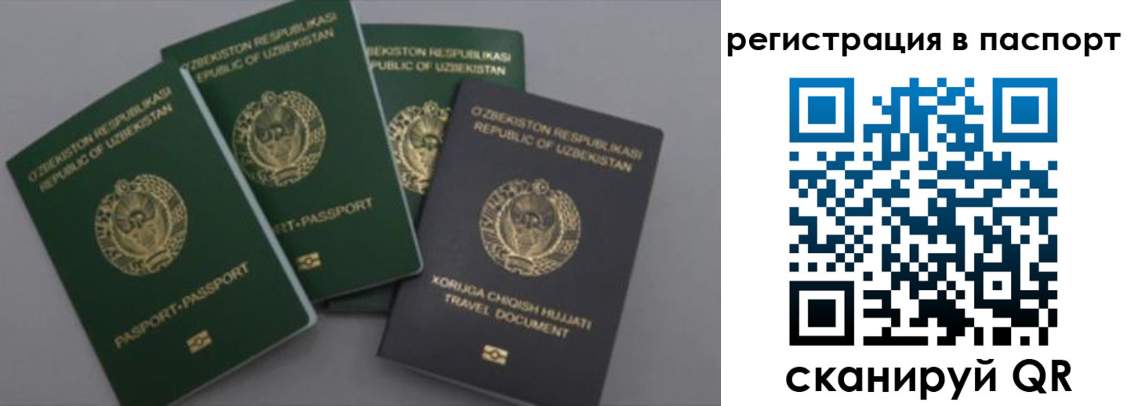 прописка от собственника в Петухово